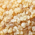 Extracto de Boswellia serrata