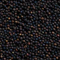 Extracto de pimienta negra