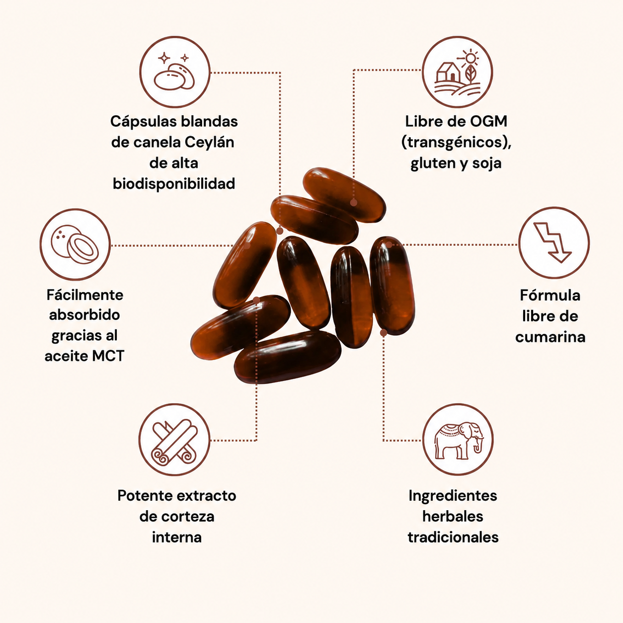 BioImpulso® l Canela de Ceilán 7200 mg con aceite MCT