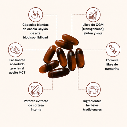 BioImpulso® l Canela de Ceilán 7200 mg con aceite MCT